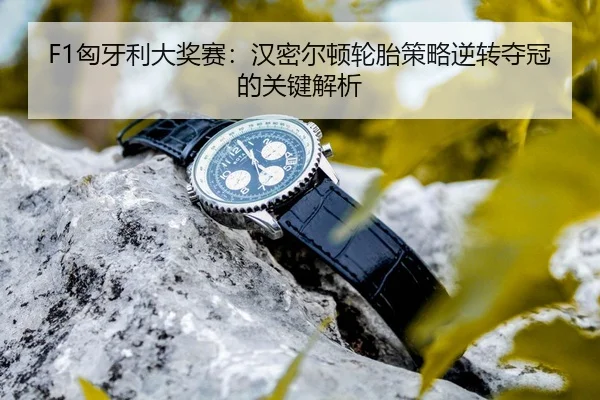 xiong-ya-li-da-jiang-sai-han-mi-er-dun-lun-tai-ce-lve-ni-zhuan-duo-guan-de-guan-jian-jie-xi-3-957.jpg