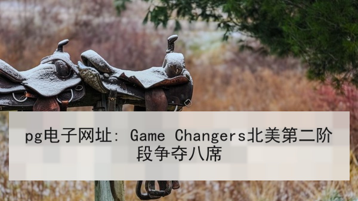 pg电子网址: Game Changers北美第二阶段争夺八席