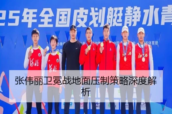 zhang-wei-li-wei-mian-zhan-di-mian-ya-zhi-ce-lve-shen-du-jie-xi-2-458.jpg