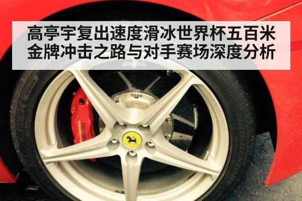 高亭宇复出速度滑冰世界杯五百米金牌冲击之路与对手赛场深度分析